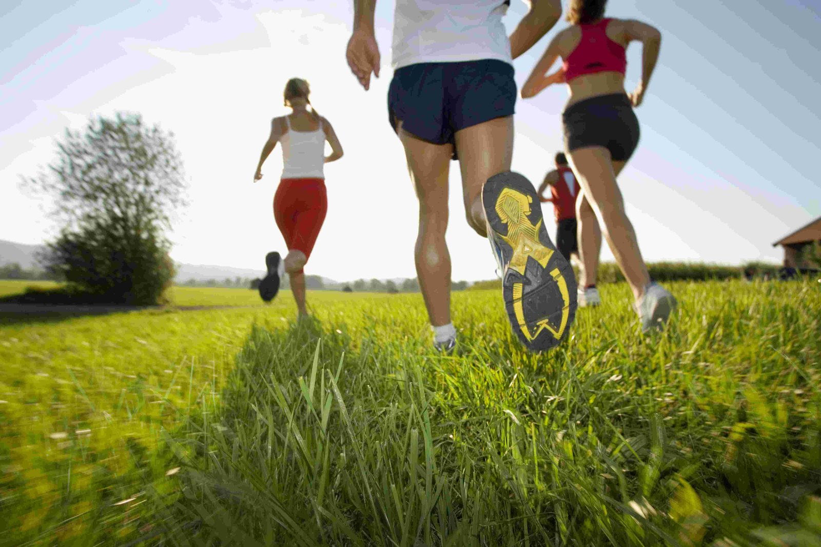 adults-running-through-a-green-field-outdoors-2026-01-11-08-02-03-utc.jpg adults-running-through-a-green-field-outdoors-2026-01-11-08-02-03-utc.jpg